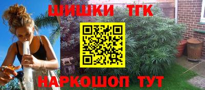 мдпв Партизанск