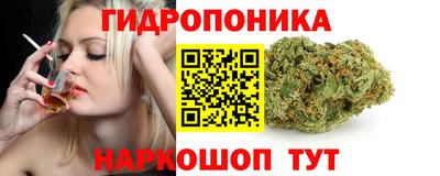 мдпв Партизанск