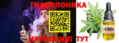мдпв Партизанск
