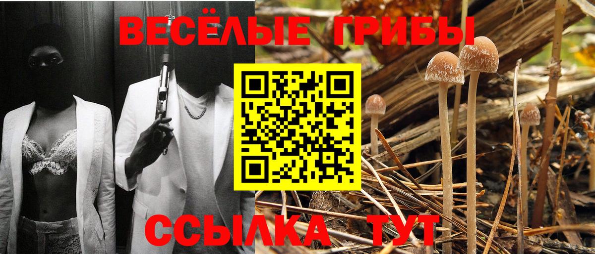 Галлюциногенные грибы MAGIC MUSHROOMS Россия