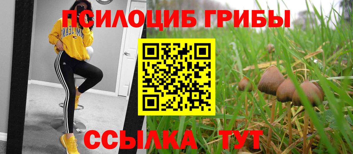 Россия  Галлюциногенные грибы прущие грибы  Вход с VPN 