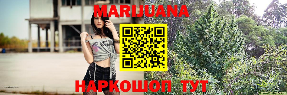 Марихуана OG Kush Россия